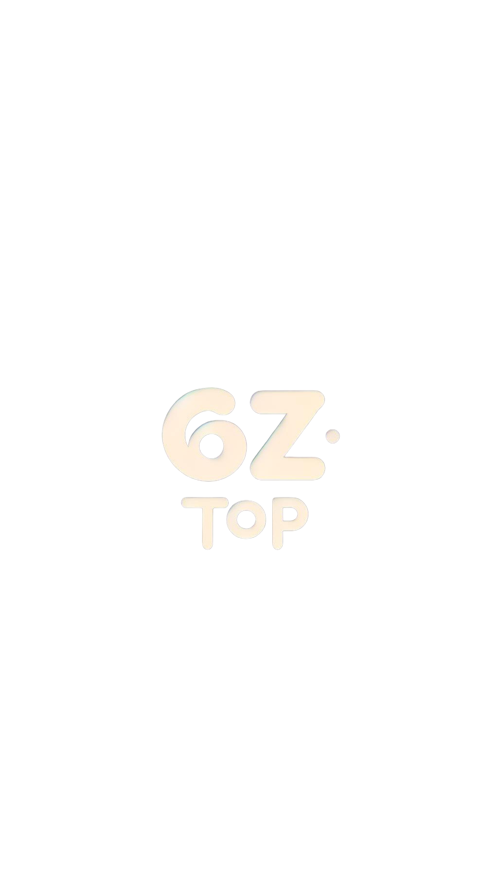 6z top